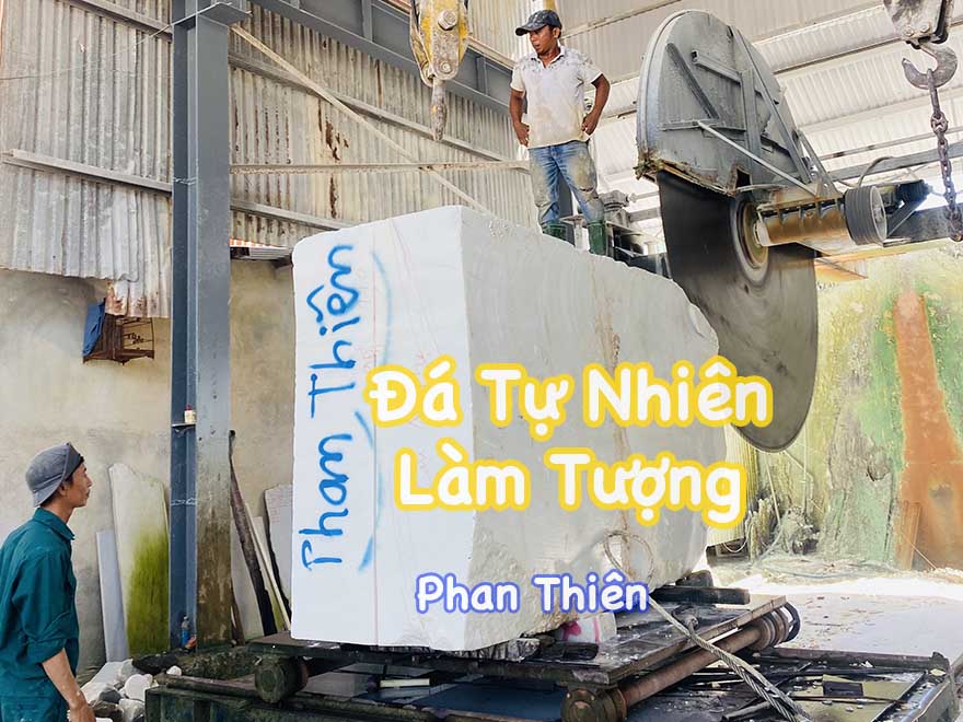 da-tu-nhien-ava.jpg